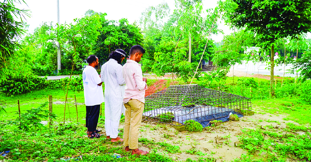 Image of মো: আশরাফুল আলম